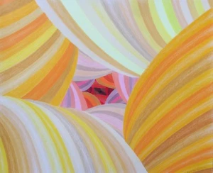 "CURTAINS", Colored pencil on paper, 14" x 17", 2016 Wires, Tubes, Wiring,Tubing - Bild 1 von 2