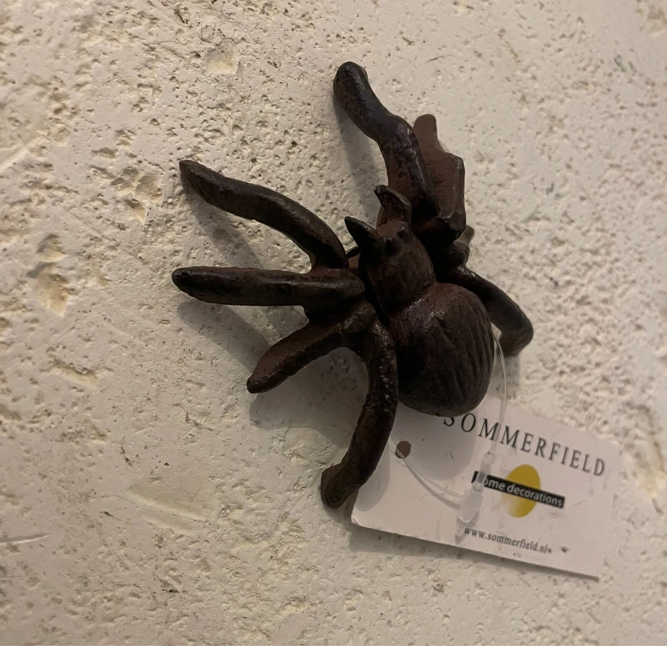 Gusseisen Spinne Frosch Eidechse Deko Figuren Figürchen Garten Haus Balkon Neu - Bild 1 von 4