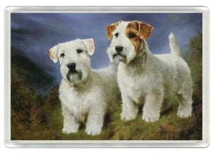 SEALYHAM TERRIER DOGS DOG ART PRINT NOVELTY ACRYLIC FRIDGE MAGNET  GIFT - Picture 1 of 1