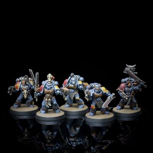 Pro Painted Warhammer 40k Space Wolves Grey Hunters - Picture 1 of 4