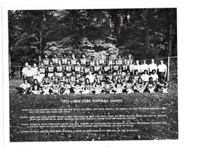 VINTAGE ORIGINAL  1975 NEW YORK GIANTS 8x10 TEAM PHOTO FOOTBALL NFL - Picture 1 of 2