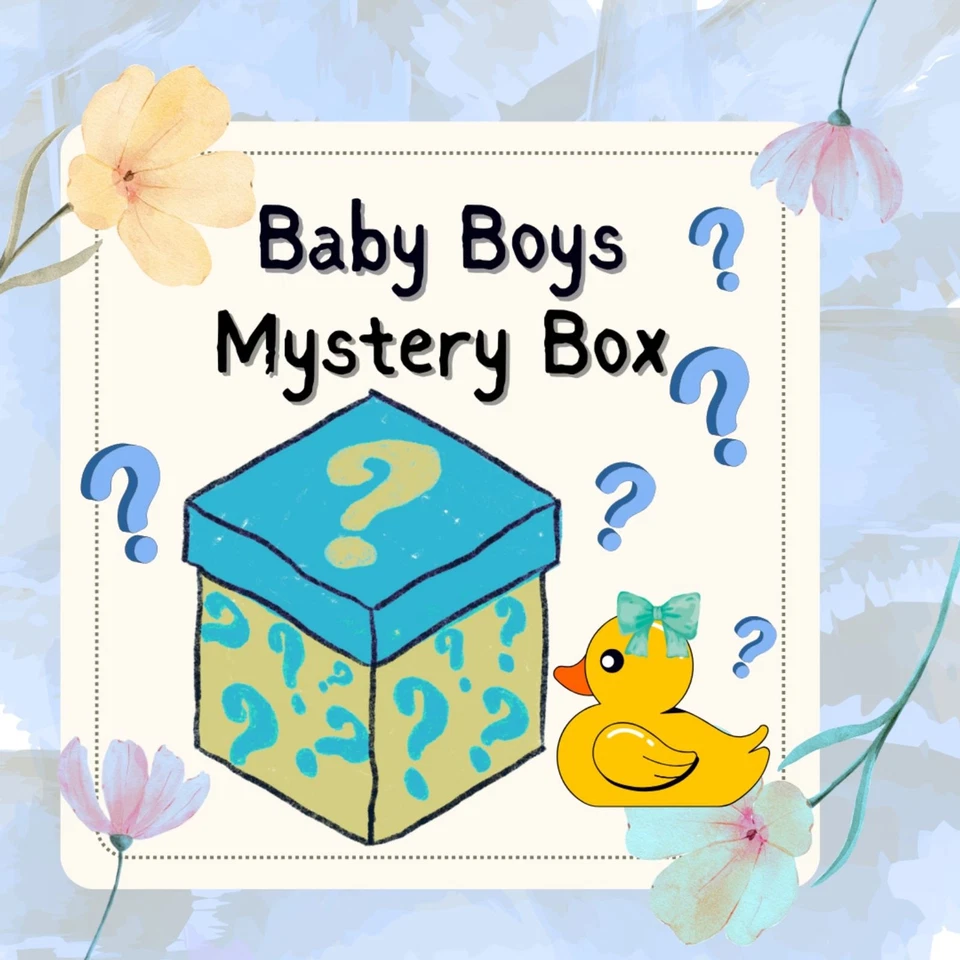 Lote Caja Misteriosa Paquete - Niños Infantes Niño 12 - 24 meses - al menos 15 artículos Foto 1 de 1