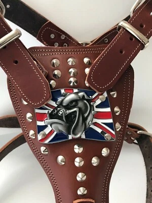 LEATHER BULLDOG HARNESS-BRITISH/ENGLISH BULLDOG-REAL GENUINE LEATHER DOG HARNESS - Image 1 of 4