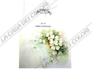 SONIE AMES - SCHEDA PITTURA PORCELLANA - PAINTING STUDY - NR 58 CORNIOLO BIANCO - Picture 1 of 1