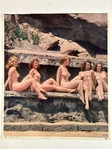 Rare Vintage GARDEN OF CHARM Girls 1955 Litho Poster 12x14 - Picture 1 of 1