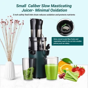 SOVIDER Juicer Machines Juice Yield Compact Slow Masticating With Brush Pulp Cup - Picture 1 of 10