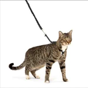 PetSafe Come With Me Kitty Harness and Bungee Leash MEDIUM Black/Silver - Picture 1 of 2