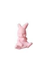 Lindo Pequeño Rosa Conejo/Conejito/Conejito de Pascua / 3D Estampado Decorativa