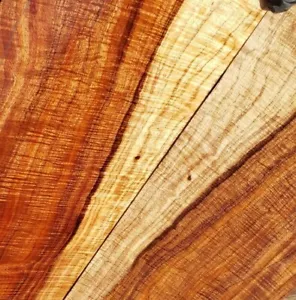 Curly Blackwood tops guitar backs wood or bass figured wood luthier supply - Picture 1 of 6