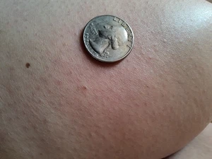 1776-1976 Bicentennial Quarter d mint - Picture 1 of 2