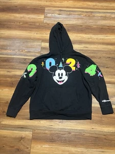 Disney Land Sweatshirt Erwachsene XL Kapuzenpullover 2024 - Bild 1 von 6