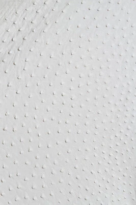 Piel de cuero de avestruz, color blanco CF Foto 1 de 4