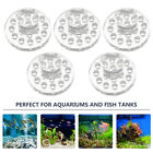 5 PCS Coral Button Bracket Acrylic Fish Tank Rocks Decoration Holder Aquarium