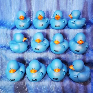 Una Docena 12 Patos de Goma Crayón Azul Pato Nuevo - Imagen 1 de 3