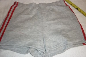 VTG. 70's SHORTS SIZE MED. GYM ATHLETIC RUNNER GRAY W/RED STRIPES - Picture 1 of 10