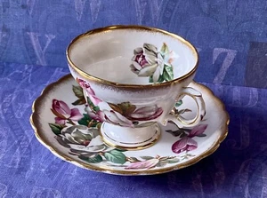 Magnolia Flowers de QUEEN'S Rosina China 2 piezas JUEGO DE TAZA DE TÉ, porcelana de hueso - Imagen 1 de 10