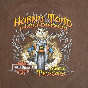 Harley Davidson T Shirt Horny Toad Temple Texas Braun Herren 4XL Motorrad Flammen - Bild 1 von 9