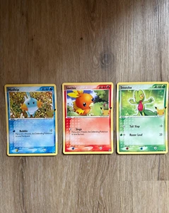 Pokemon MUDKIP TORCHIC TREECKO First Partner Oversized Jumbo Hoenn NEAR MINT - Picture 1 of 1