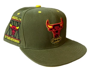 Chicago Bulls Mitchell & Ness X Lids Cap Hat 30th Anniversary Fitted Dusty Olive - Picture 1 of 7