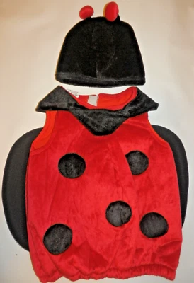 24 Meses Ladybug Niño Pequeño Disfraz Halloween Rojo Negro 3 Piezas Alas Foto 1 de 4