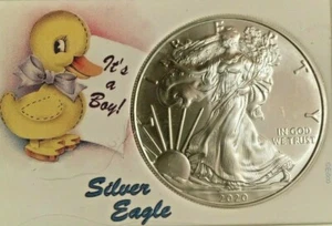 2020 AMERICAN SILVER EAGLE IN SPECIAL 2X3 SNAPLOCK DISPLAY CASE - Picture 1 of 16