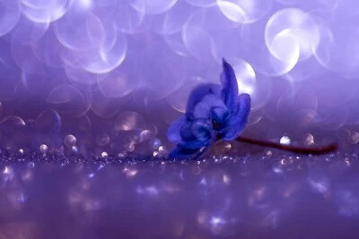 HELIOS 44M-4 58mm Lens M42 Mount - Stunning Bokeh & Flare | Trioplan Effect - Image 1 of 4