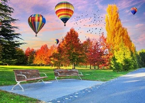 QPuzzles 500XL Piece Jigsaw Puzzle - Canberra Autumn - Picture 1 of 1