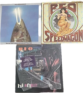 REO Speedwagon 3 LPs: This Time We Mean It, You Can Tune A Piano, Hi Infidelity - Picture 1 of 5