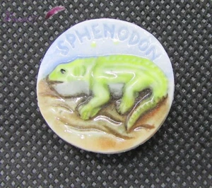 Fève plate Animaux Un Reptile le Spenodon lézard vert #G18d - Imagen 1 de 2