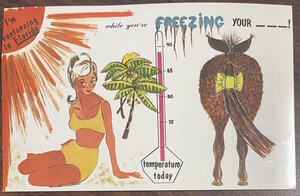 Cartolina Mi abbronzo in Florida mentre congeli la tua vintage non spedita - Foto 1 di 2