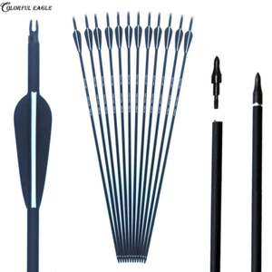 Flechas de carbono Archery de 28"30"31" Spine500 para arco compuesto recurvo tiro caza - Imagen 1 de 10