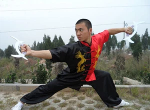 Silk Martial Arts Uniform Kung Fu Tai Chi Shaolin Suit Clothes Dragon Embroidery - Picture 1 of 4