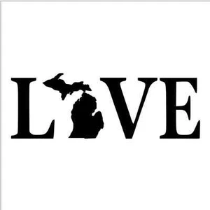 Love with Michigan Map 5" Vinyl Decal Sticker FREE SHIPPING WITH TRACKING - Bild 1 von 11