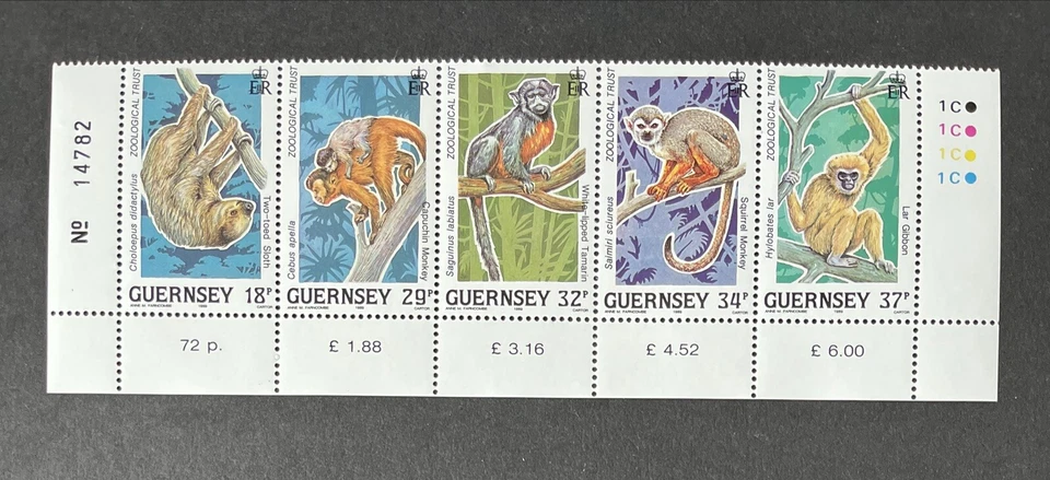 GUERNSEY 1989 MNH ZOOLÓGICO TRUST TIRA CON MÁRGENES CONJUNTO CON CICLO C1 Foto 1 de 1