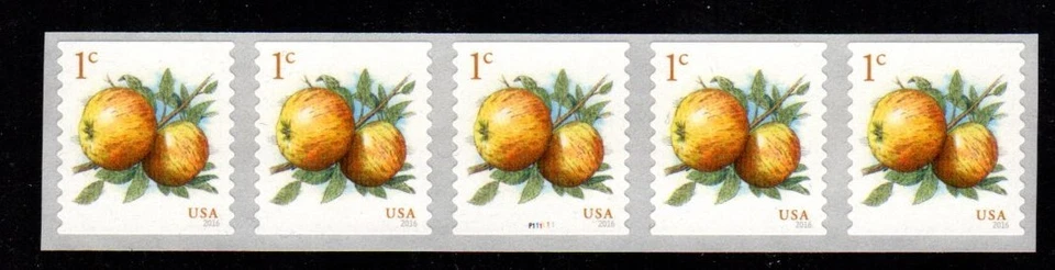 #5037 Apples   PNC-5  Pl #P11111 - MNH - Image 1 of 1