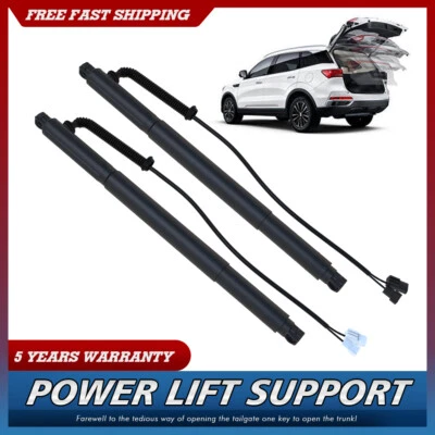 2x Soporte elevador eléctrico puerta trasera izquierda + derecha para BMW X6 E71 E72 2007-2014 Foto 1 de 4