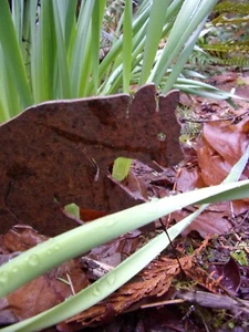 antique rusty~vintage~leaping garden kitty cat! small metal cutout~flower pots! - Picture 1 of 12