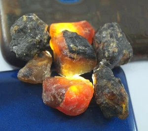 Lote de 7 piezas de espécimen aproximado certificado de 82,70 quilates miel natural ámbar báltico sin tratar sin tratar - Imagen 1 de 4