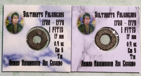 1659 - 1823 PALEMBANG SULTANATE PITIS TIN COINS #224 Cover