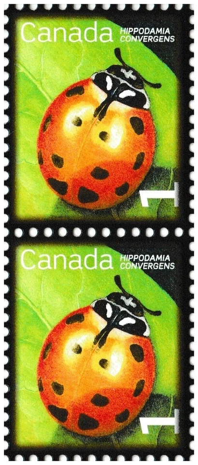 Canada 2234 Beneficial Insects Convergent Lady Beetle 1c vert pair MNH 2007 - Изображение 1 из 1