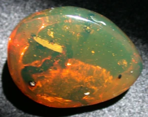 Insecto apestoso con hojas de avispa en hermosa piedra preciosa fósil ámbar dominicano VERDE - Imagen 1 de 17