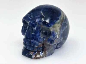 Pequeño esqueleto espeluznante calavera tallada a mano piedra natural mármol marrón marino de 1,5" - Imagen 1 de 5