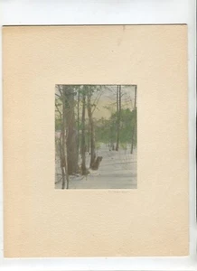 Early 1900s HAND COLORED PHOTOGRAPH Signed Richardson BARE TREES  IN WINTER v2 - Picture 1 of 1