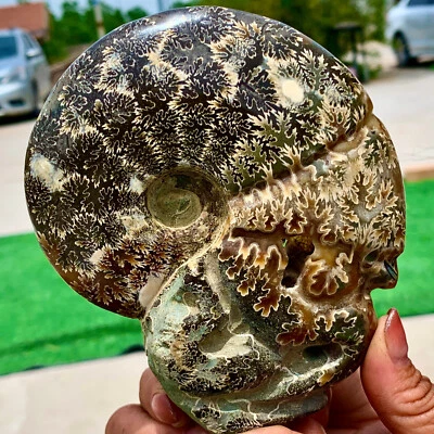 1.16LB  Natural chrysanthemum stone quartz carving aura healing gift - Image 1 of 4