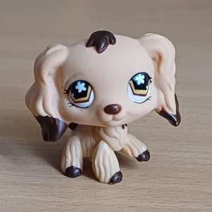 Figurine pop authentique Honey Cocker Spaniel #575 Lps Littlest Petshop animal unique - Photo 1/3