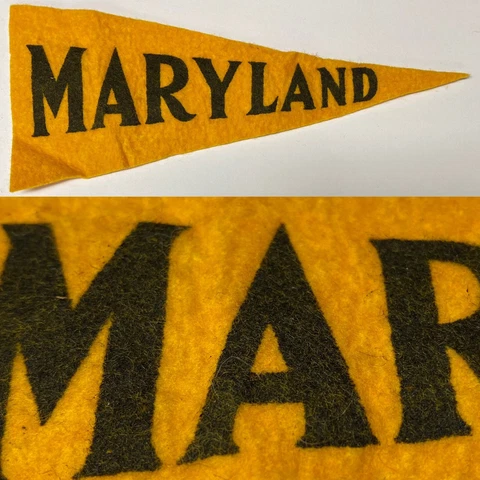 Vintage 1950 Maryland Terrapins Dollhouse University Mini Pennant 3x7.5 Cover