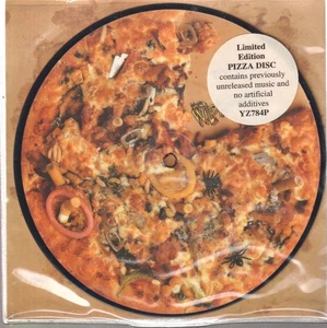 Wildhearts Tv Tan 7" vinyl UK Bronze 1993 Limited edition pic disc with  EX-/EX - Picture 1 of 2