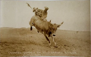 1920s Rodeo Photo Leonard Womach Riding Wild Brahma Steer Doubleday - Picture 1 of 2