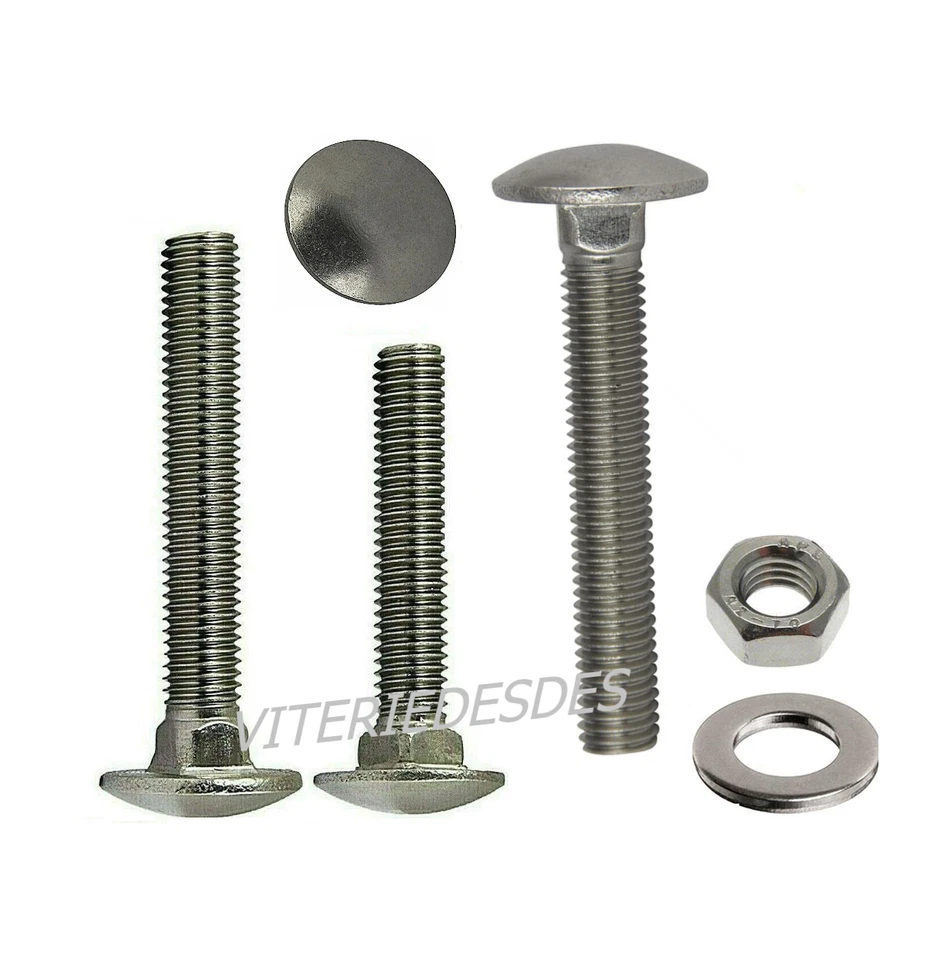 VITI M10 IN ACCIAIO INOX PERNI BULLONI TESTA TONDA QUADRO SOTTO TESTA 5732 603 - Immagine 1 di 4