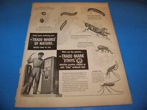 Ethyl Gasoline Original Print Ad from Magazine 1948 - Picture 1 of 2